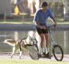 Kutya meghajts bicikli