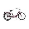 Schwinn Meridian Adult 26-Inch 3-Wheel Bike deep basket tricycle cruiser sport