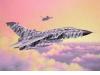 Revell Makett Repl Panavia Tornado ECR 1 72