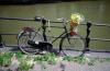 Bicikli Kosr csokor menstruci parkolt ellen vd korlt nmetalfld