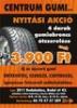 195 65 16 C Nokian WRC nyri gumi