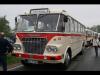 IKARUS 630 BUS Omnibus History Classic Diesel Motor LienienbusReisebus