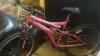 Pink ladies hera dunlop sport bike