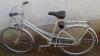 Nmet bicikli Kettler Alurad 2600