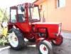 Vladimirec T25/A traktor elad