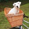 Kutyakosr kerkprra Trixie Bicycle Basket