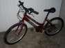 24 piros Hauser bicikli flron elad