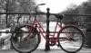 Piros eurpai Bicikli Kvetkez Foly Stock fotogrfia