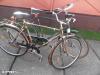 Holland Empo Sparta bicikli elad