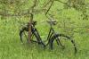 Ausztria fels Ausztria trtnelmi Bicikli vonzalom fa